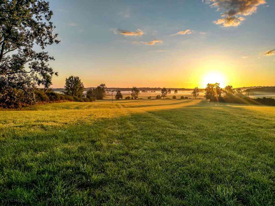 Park Farm Campsite: What a view (photo added by manager on 14/09/2022)