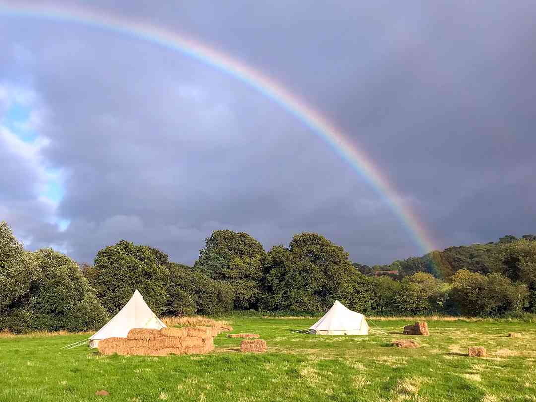 Dorset Glamping Fields (photo ajoutée par le gestionnaire le 1 sept. 2022)
