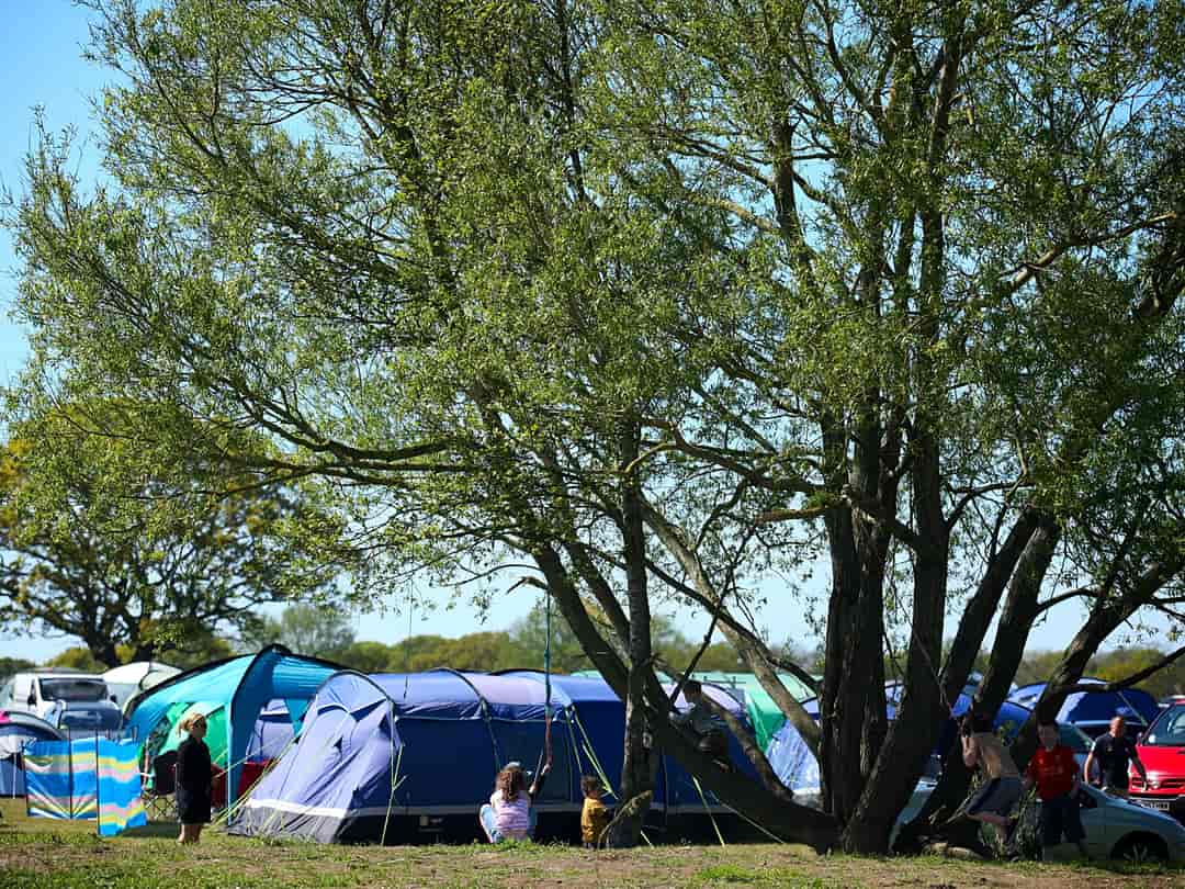 Royal Umpire Caravan Park: Camping field