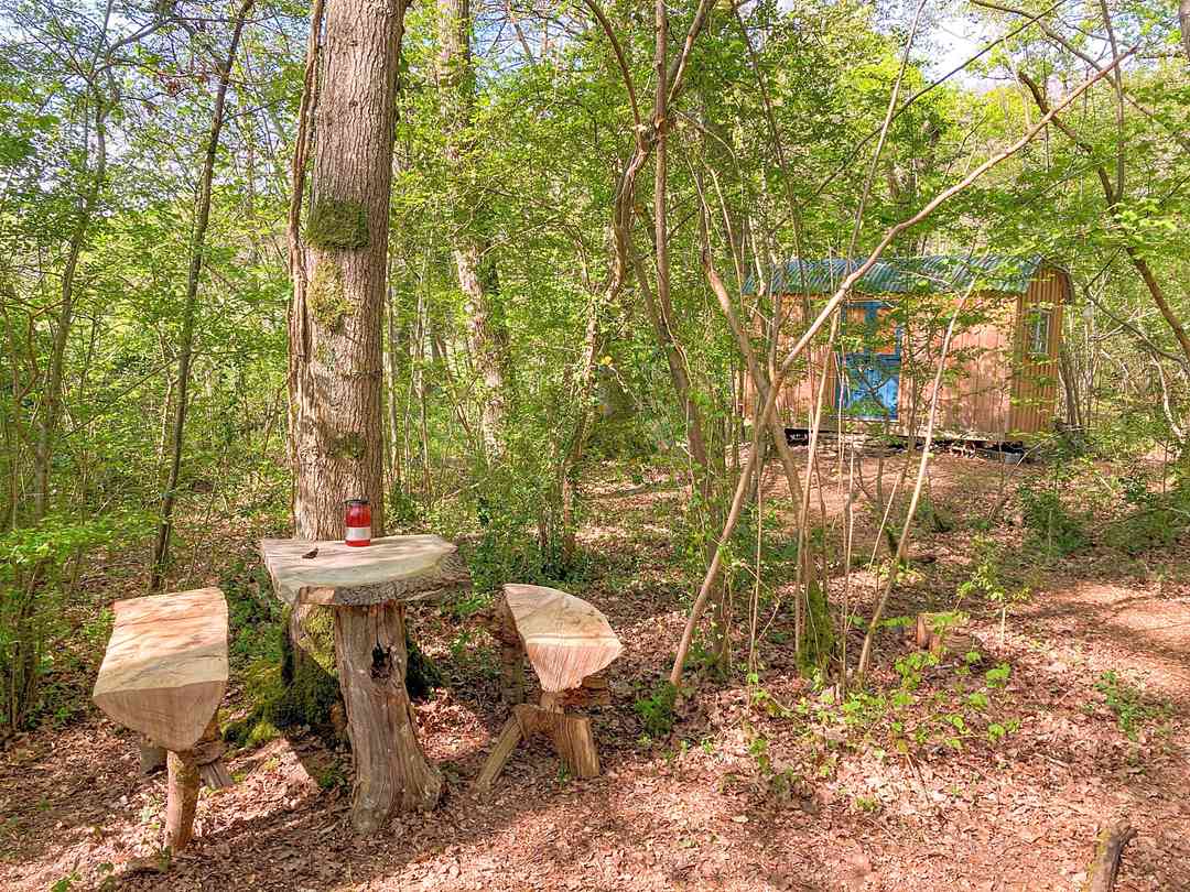 Bluebell Shepherd's Hut: The hut in the woods (photo added by manager on 12/10/2022)