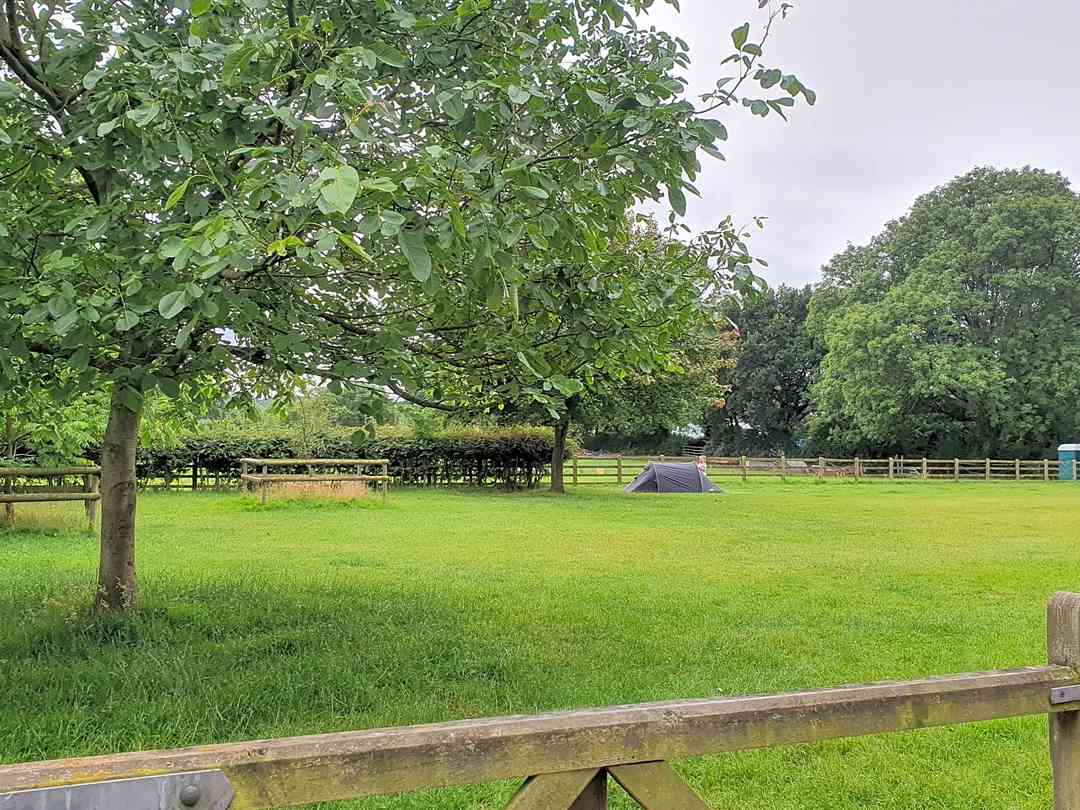 Moors Covert Farm Camping