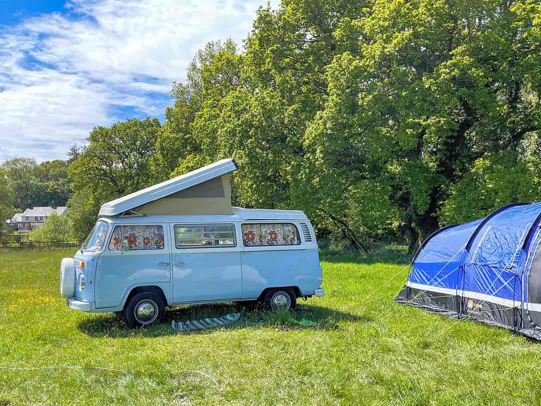 Primrose Fields: Camper parked up in the pitch