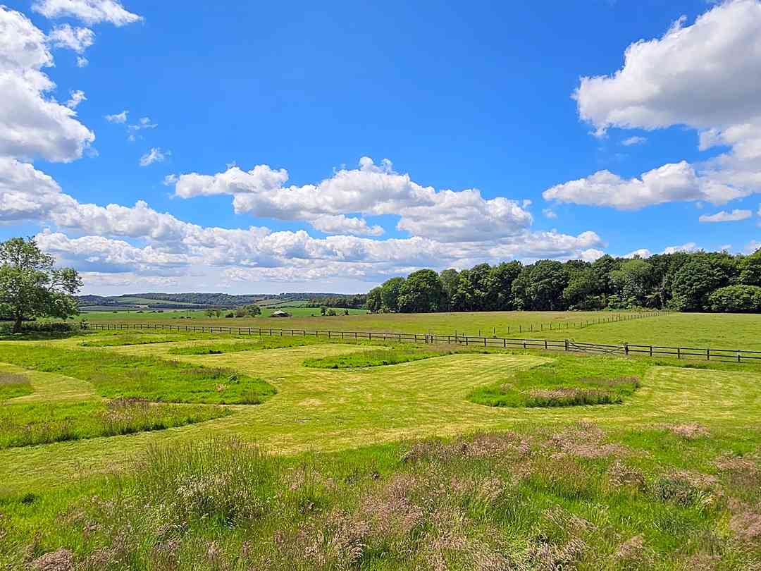 Two Hoots Glamping, Caravan Park and Campsite (a kezelő által 2024.06.17. napon hozzáadott fénykép)