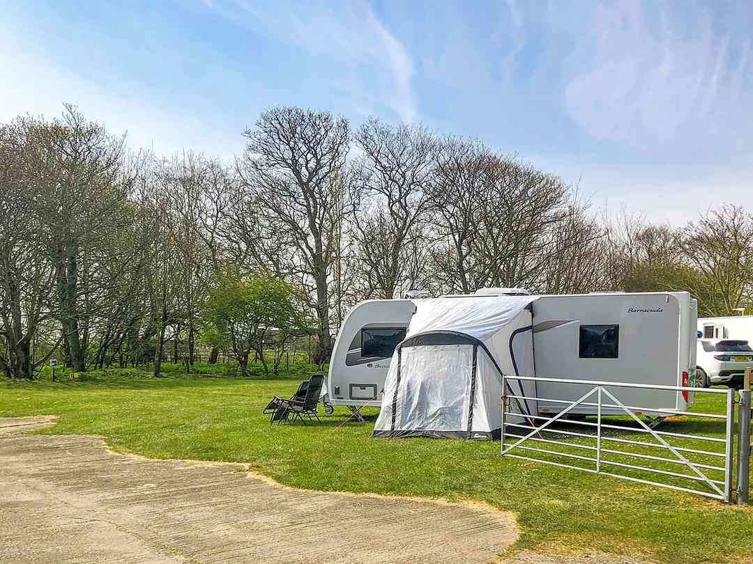 Elm Tree Farm: Pitches and entrance