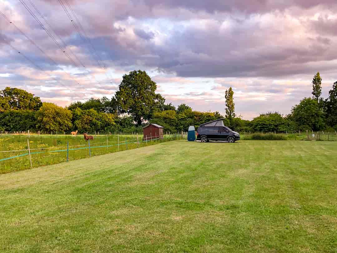 Pear Tree Farm: Visitor image of the campsite field