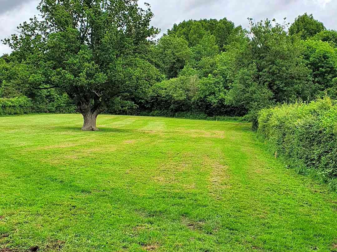 Hill Top Farm Orchard Campsite, Worcester Updated 2021 prices Pitchup®