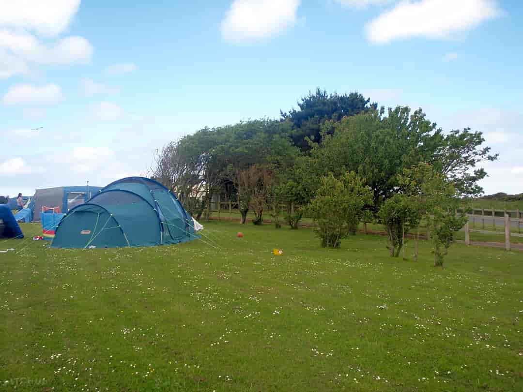 Atlantic Bays Holiday Park: Camping field with or without electric