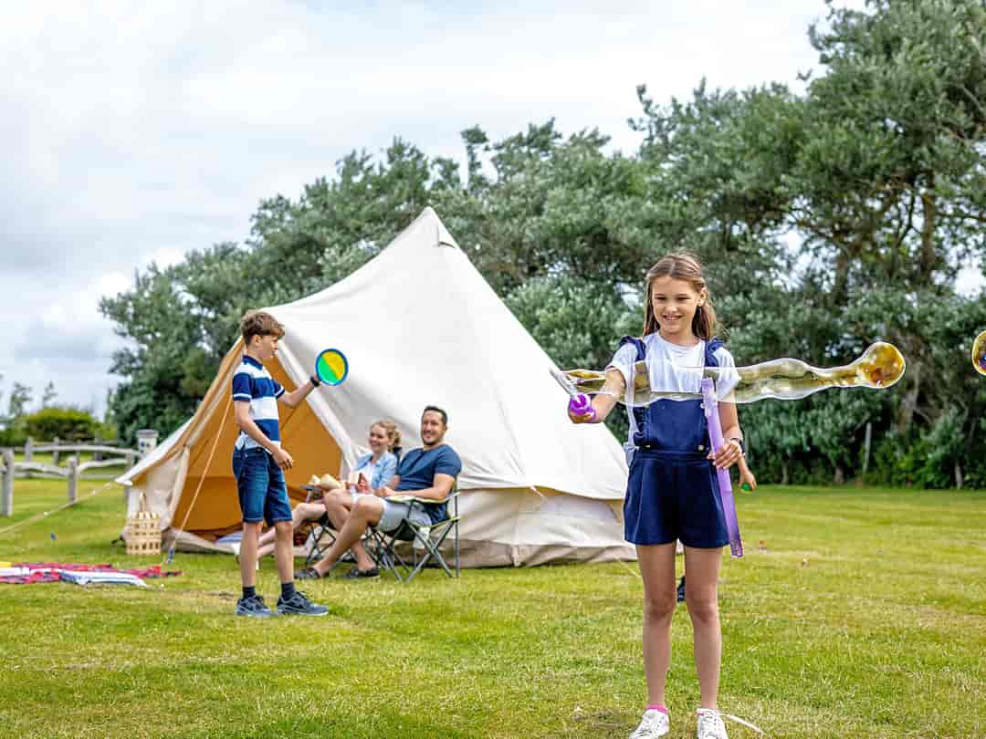 Warner Farm Touring Park: Camping (photo added by manager on 06/07/2023)