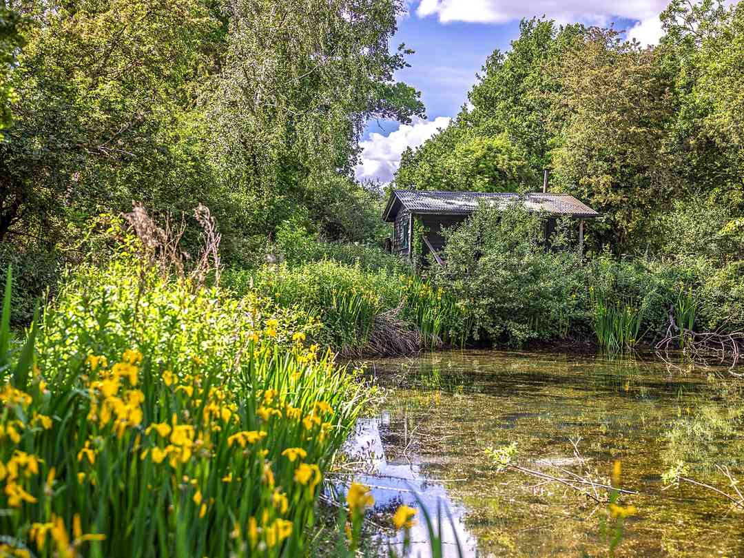 Abbey Home Farm (photo ajoutée par le gestionnaire le 17 juil. 2025)