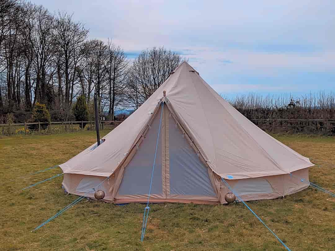 Wildwood Alpacas: The bell tent