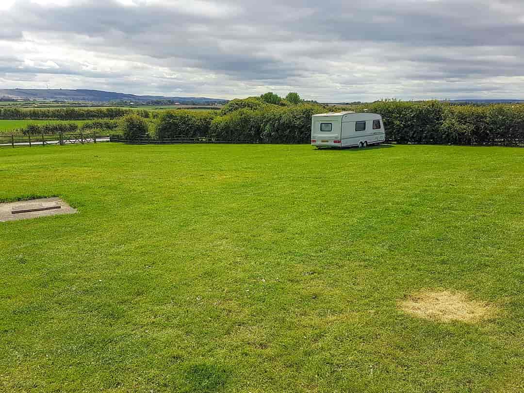 The Paddock Campsite: Grass pitch