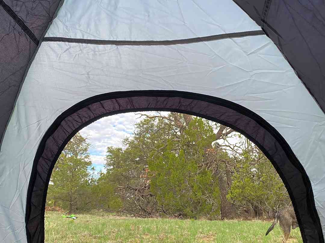 Ready tent cheap