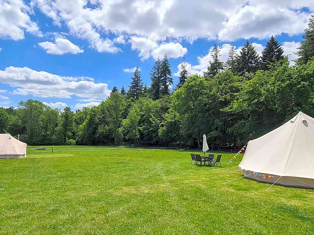 Campsites in the deals new forest with electric