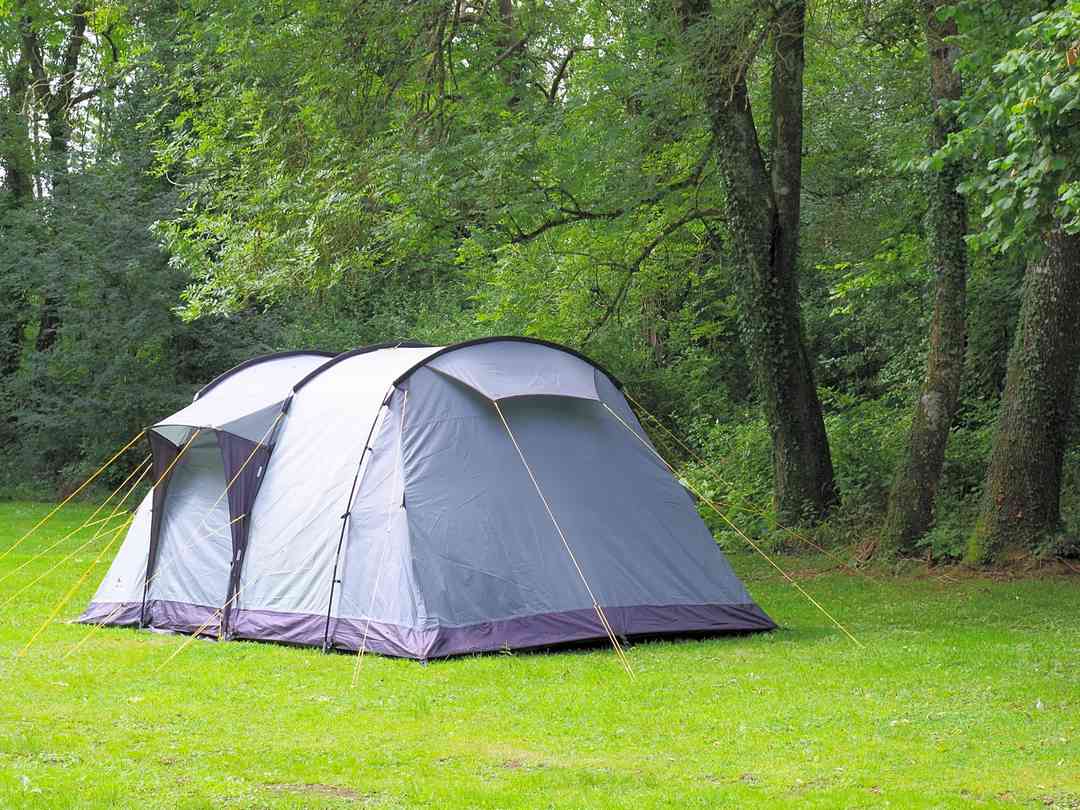 Campsites in the new forest with electric online