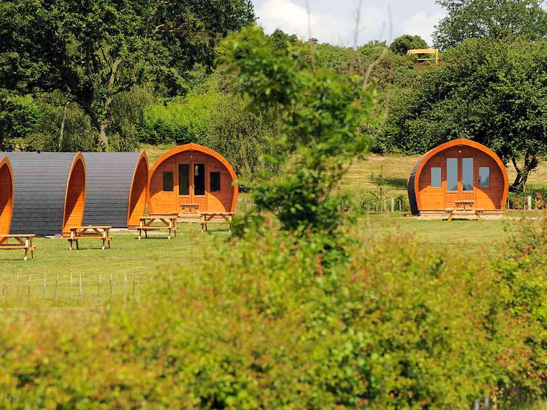 Camping and Glamping Pods Pitchup