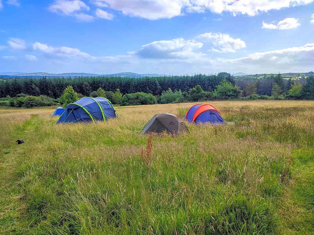 Working farm campsites outlet
