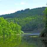 Parc Naturel Régional du Morvan