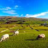 The Yorkshire Dales