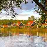 Het Nationale Park De Hoge Veluwe