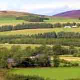 The Cairngorms