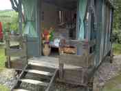 Ellie the shepherd's hut