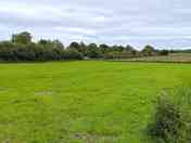 Camping field