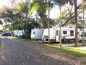 Private pitches among the trees