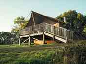 Foxes Earth exterior