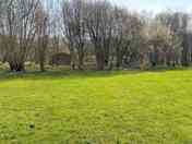 Centrepoint pitch, flanked by trees
