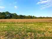 Rushbeds Wood Campsite