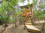 Treehouse in the woods (added by manager 13 Apr 2023)