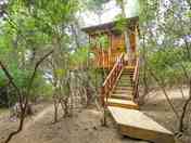 Treehouse in the woods