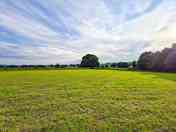 Grass pitches