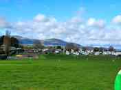 Grass pitches