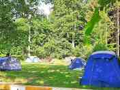 Grassy pitches