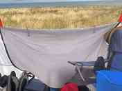 Morning view from tent