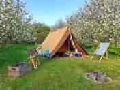 Grass tent pitch among the trees (added by manager 11 May 2022)