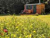 Countrified surrounds