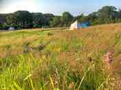 Old Hay Meadow pitches