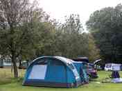 Meadow pitches