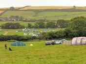 View across the dog-friendly pitches