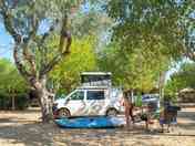 Pitches among the trees