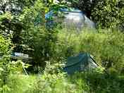 Wild camping area