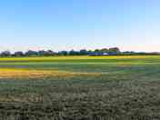 10-acre grounds
