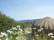 An eco-friendly site to support wildlife and biodiversity
