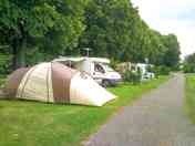 Pitches with trees for shade