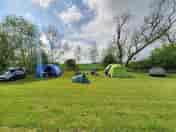 Visitor image of the spacious pitches (added by manager 02 Jun 2023)