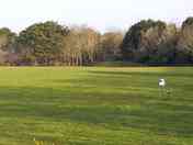 Large electric grass pitch