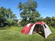 Pitches surrounded by trees