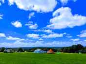 Grass pitches